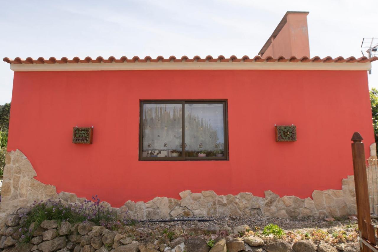 Refúgio De Alma Em Flor Quinta Privada Com Piscina