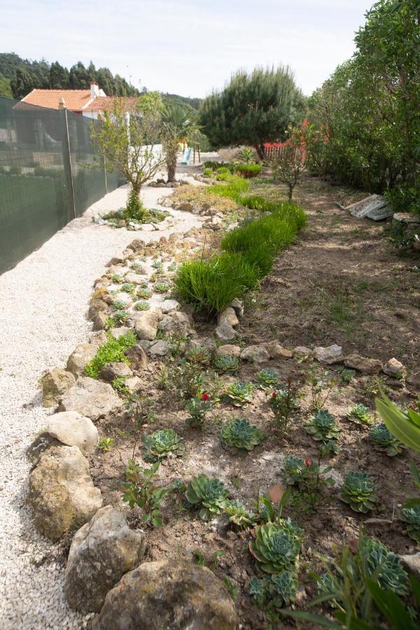 Refugio De Alma Em Flor Quinta Privada Com Piscina *