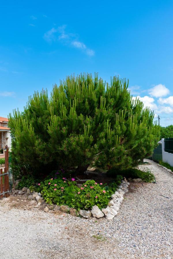 Refugio De Alma Em Flor Quinta Privada Com Piscina *