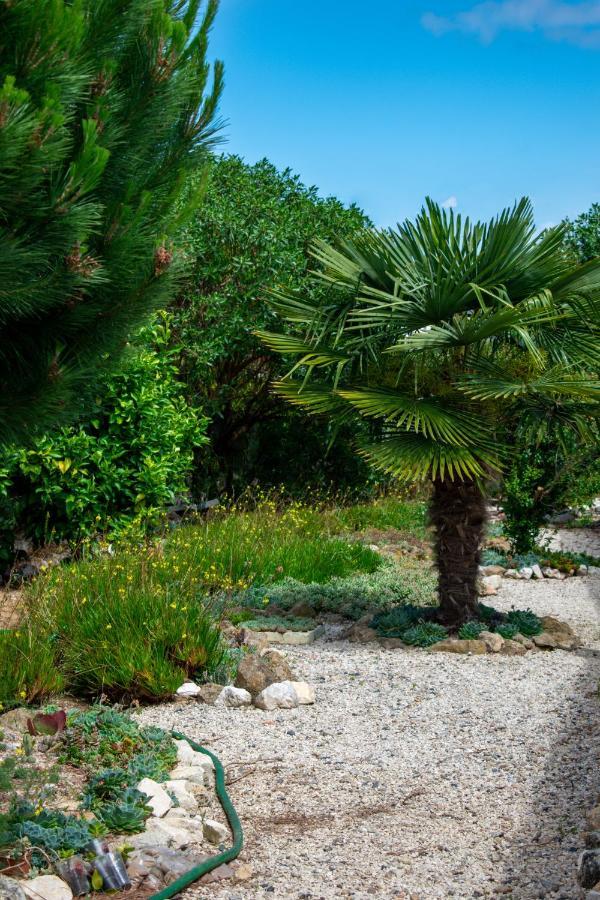 Refúgio De Alma Em Flor Quinta Privada Com Piscina Nazaré